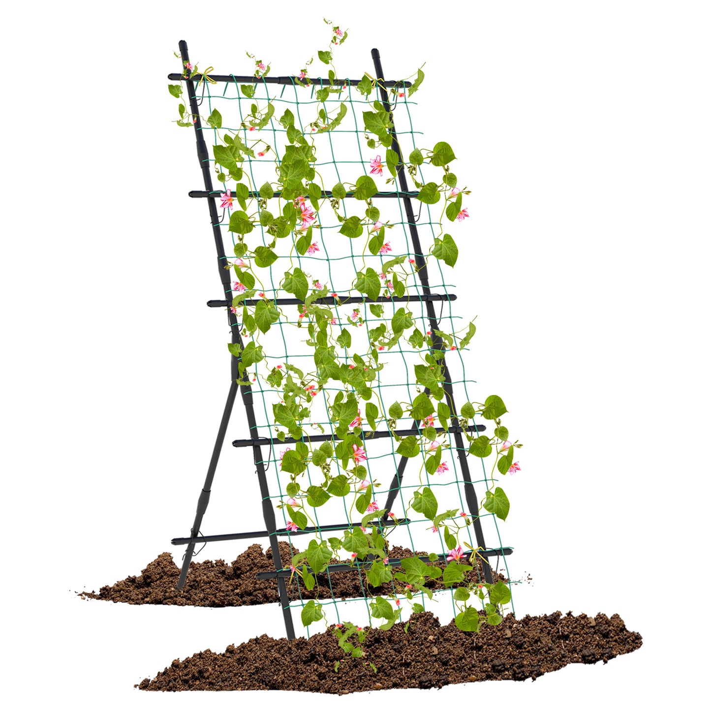 A-Frame Cucumber Trellis Garden Plant Support with PE-Coated Tubes Sure-Clips and Trellis Netting