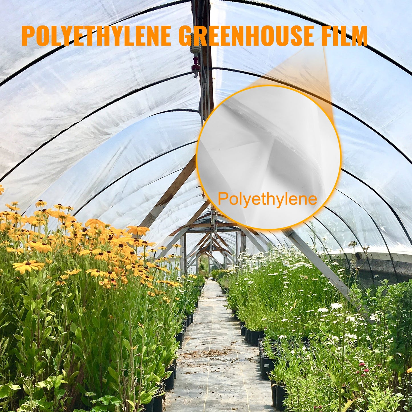 Greenhouse Film 16 x 28 ft. 6 Mil Polyethylene Clear Plastic Cover UV Resistant Plant Protection Backyard Tarp